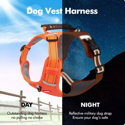 Homeistix™ No Pull Dog Harness Set